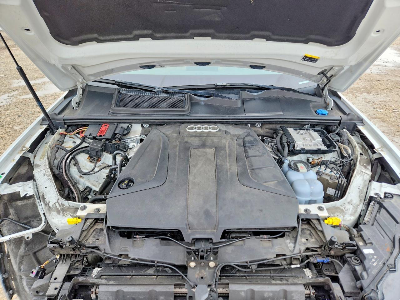 WA1LHAF78KD024441 · 2019 AUDI Q7 · 12/14