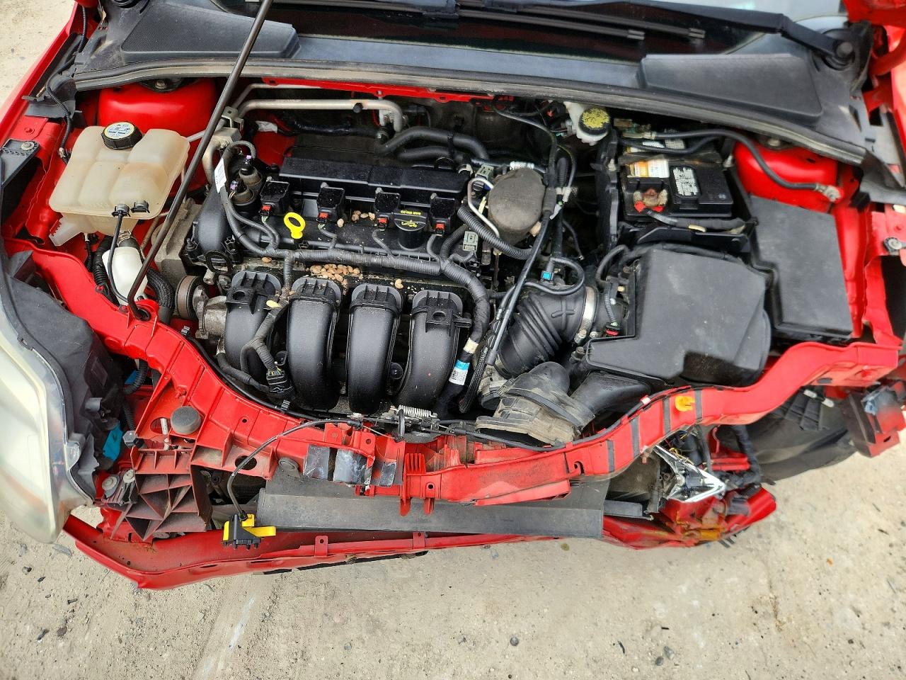 1FADP3F24DL132843 · 2013 FORD FOCUS · 11/12