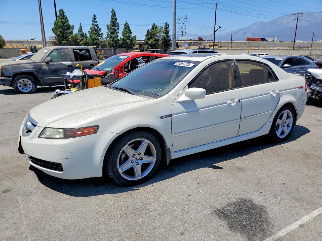 19UUA66255A022654 · 2005 ACURA TL