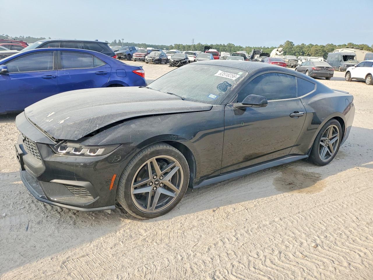 1FA6P8TH1S5100898 · 2025 FORD MUSTANG