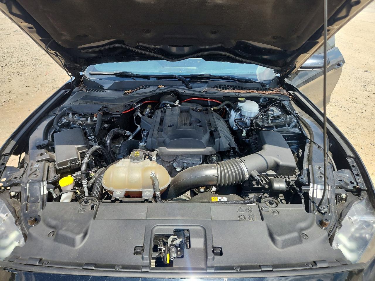 1FA6P8TH8J5113131 · 2018 FORD MUSTANG · 11/12