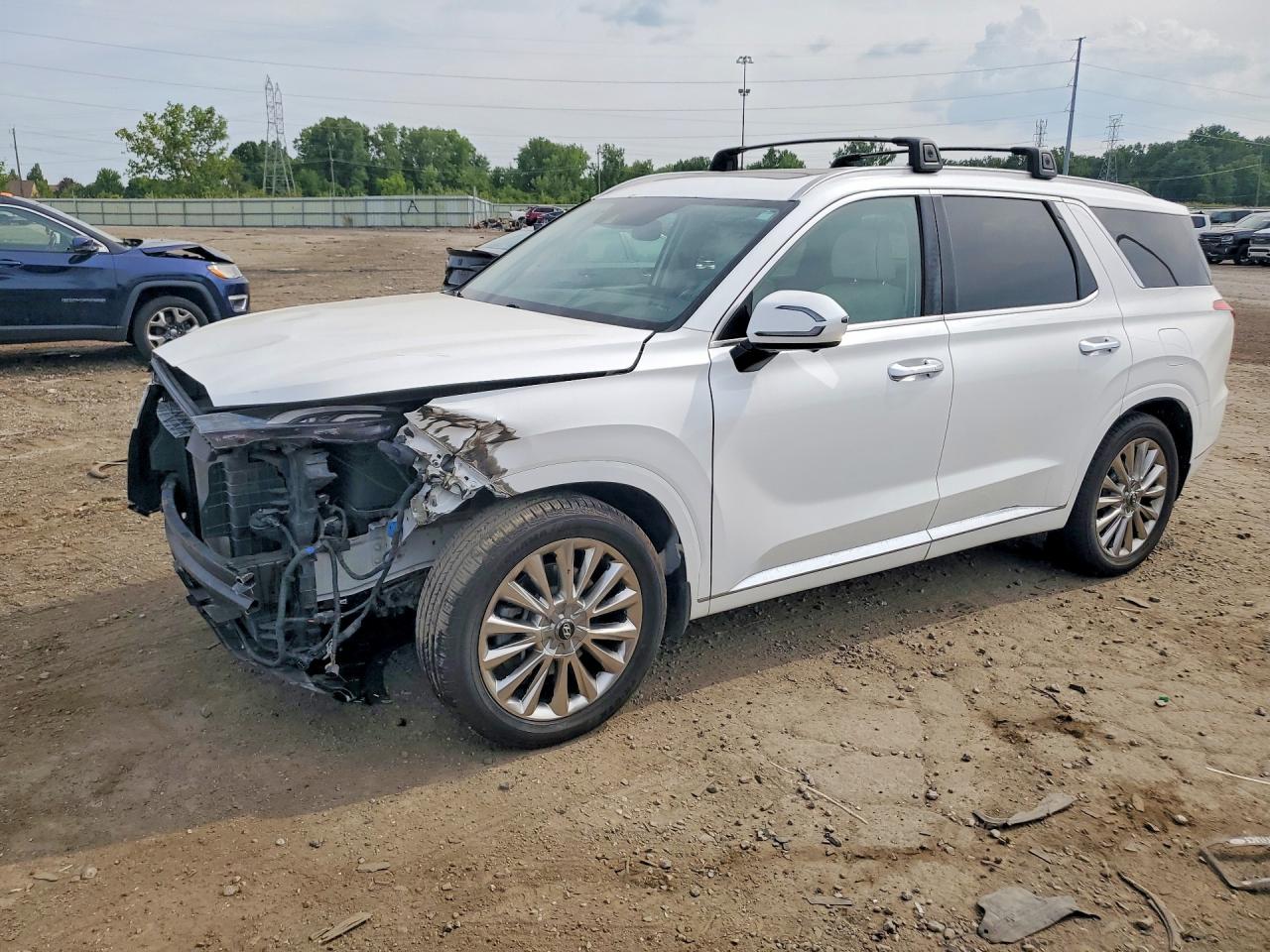 KM8R5DHE9LU169913 · 2020 HYUNDAI PALISADE