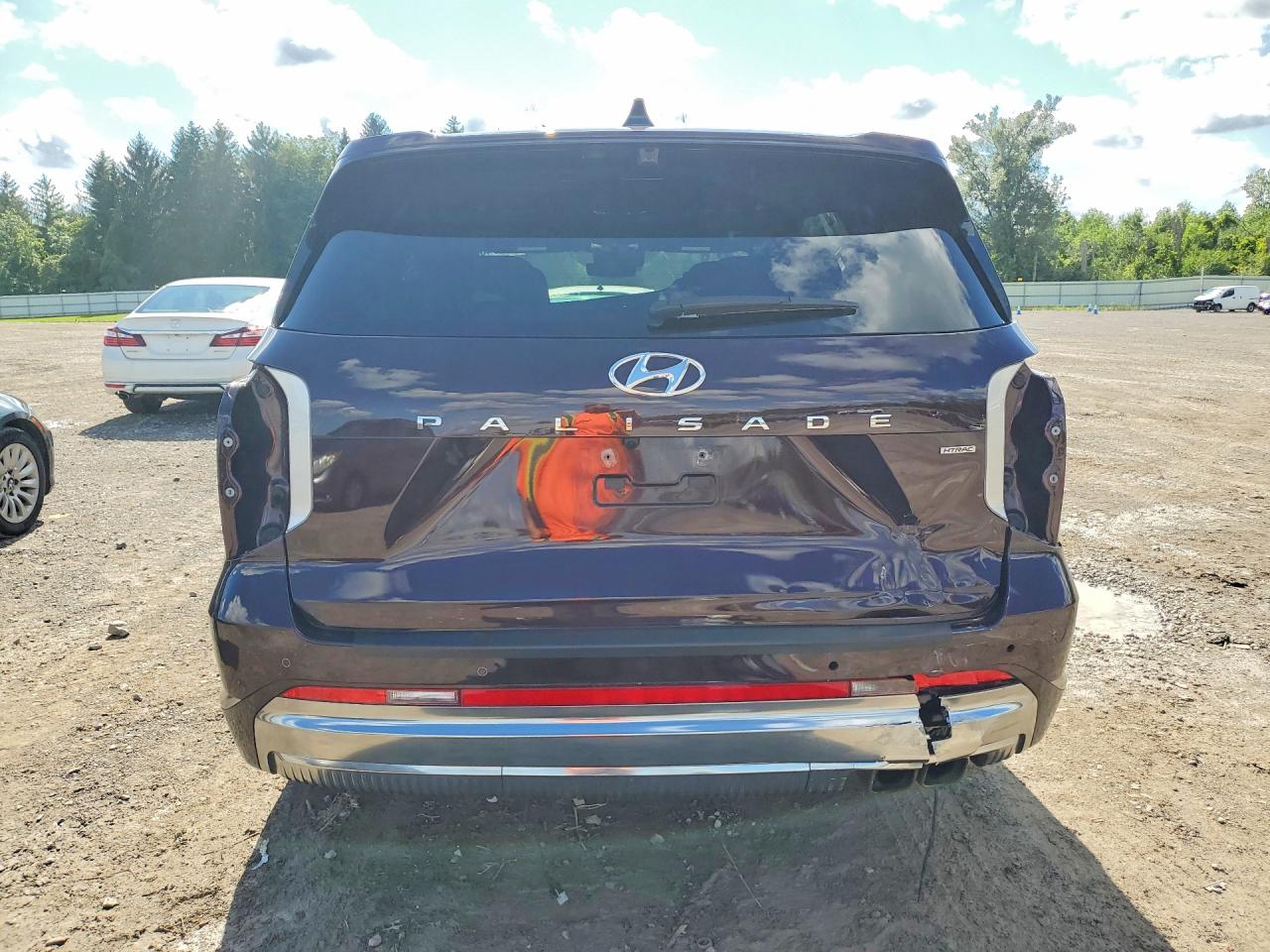 KM8R7DGE0RU768915 · 2024 HYUNDAI PALISADE · 6/14