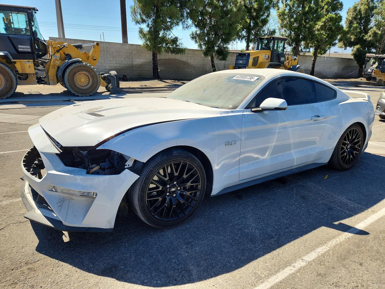1FA6P8CF3K5169218 · 2019 FORD MUSTANG