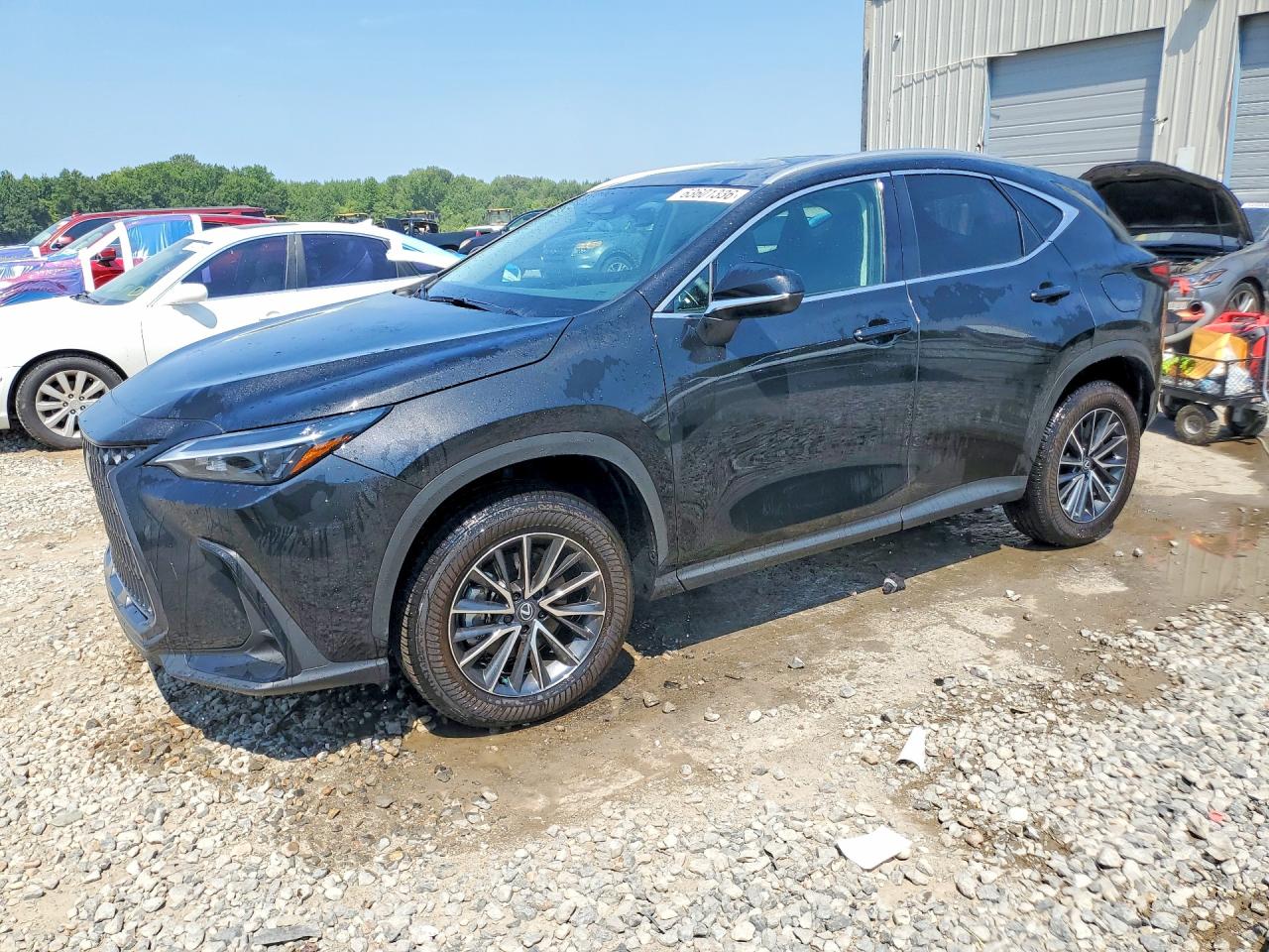 2T2GDCAZ8SC023225 · 2025 LEXUS NX