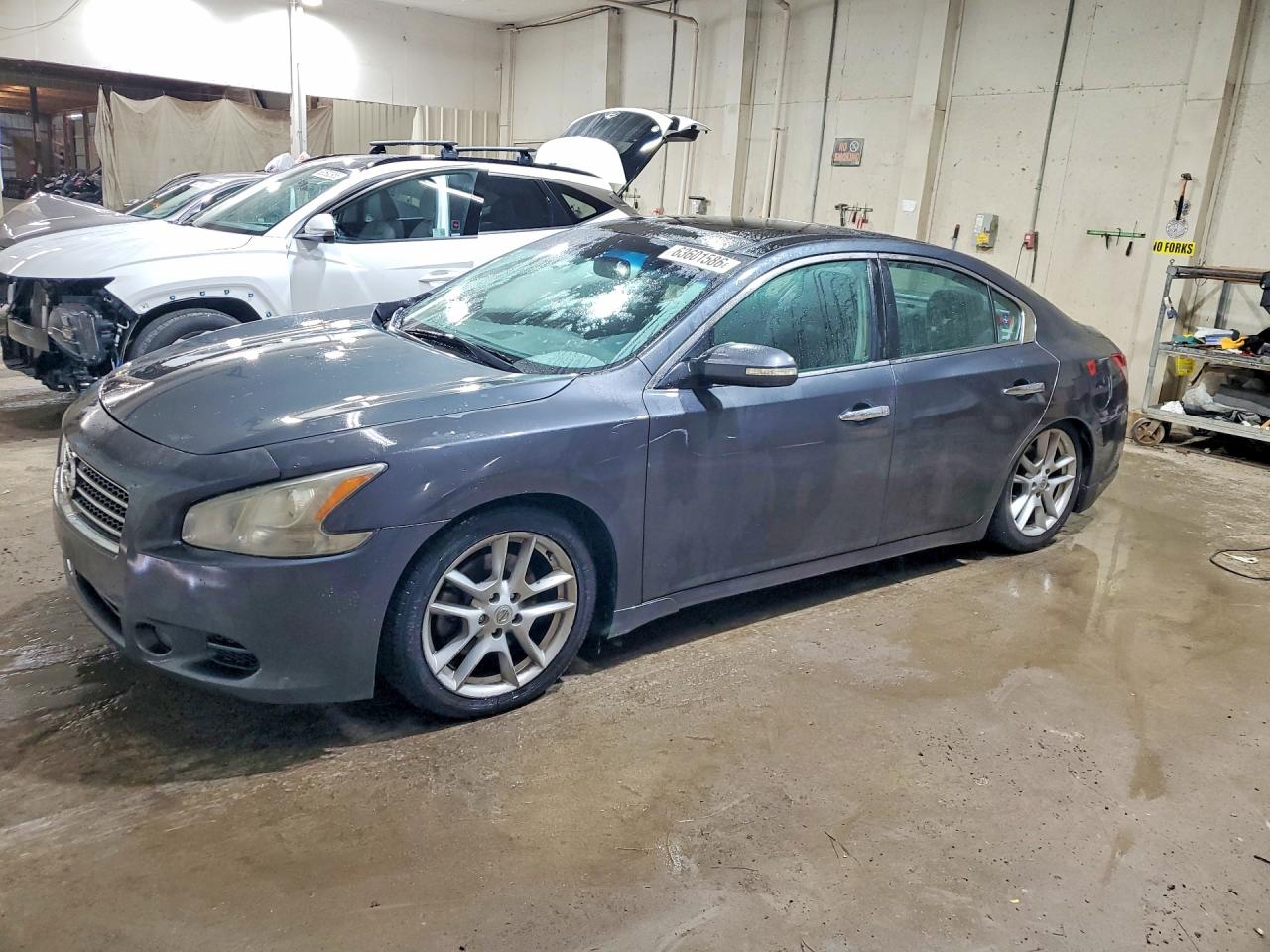 1N4AA5AP6BC809018 · 2011 NISSAN MAXIMA