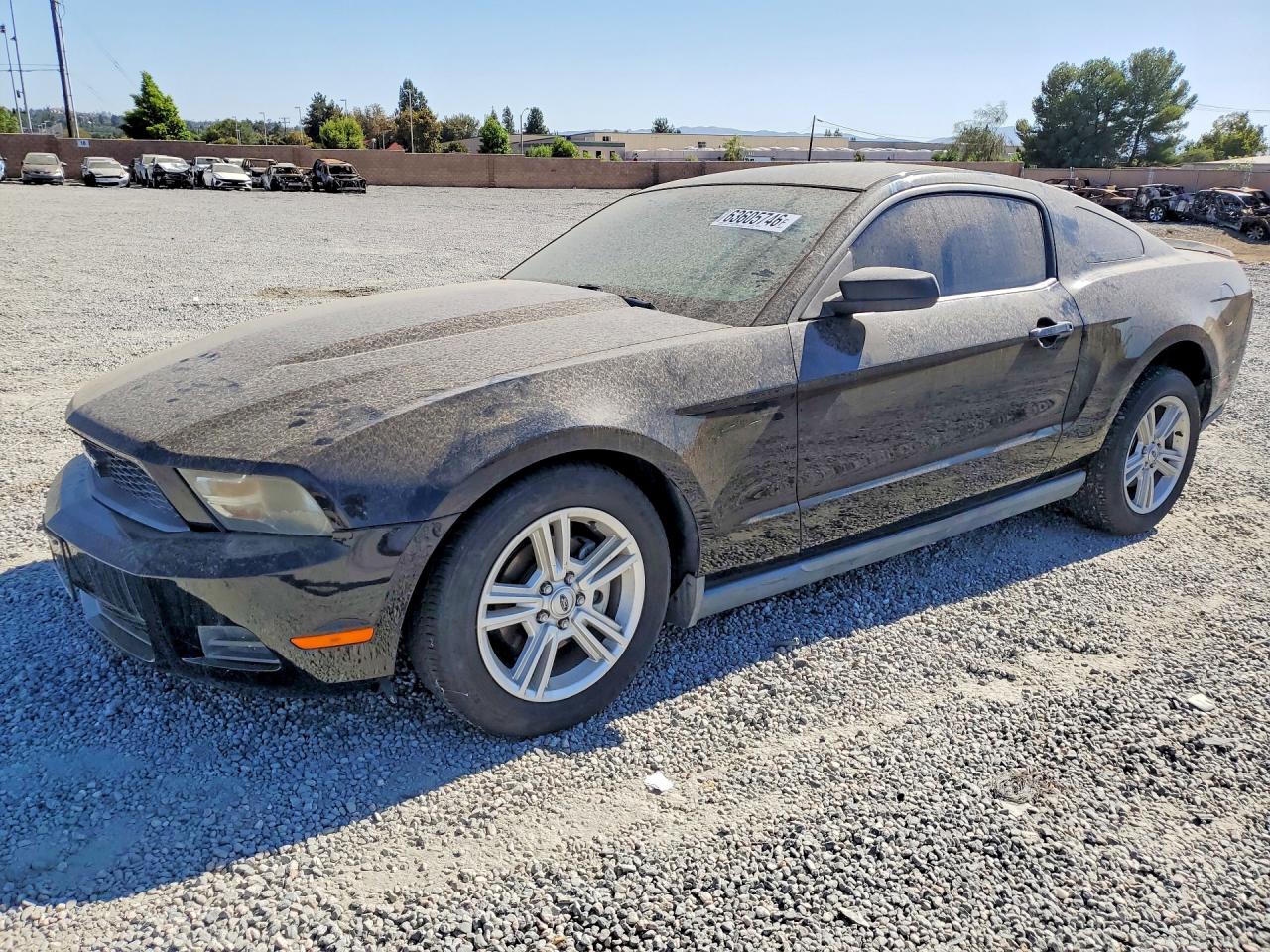1ZVBP8AN2A5155969 · 2010 FORD MUSTANG