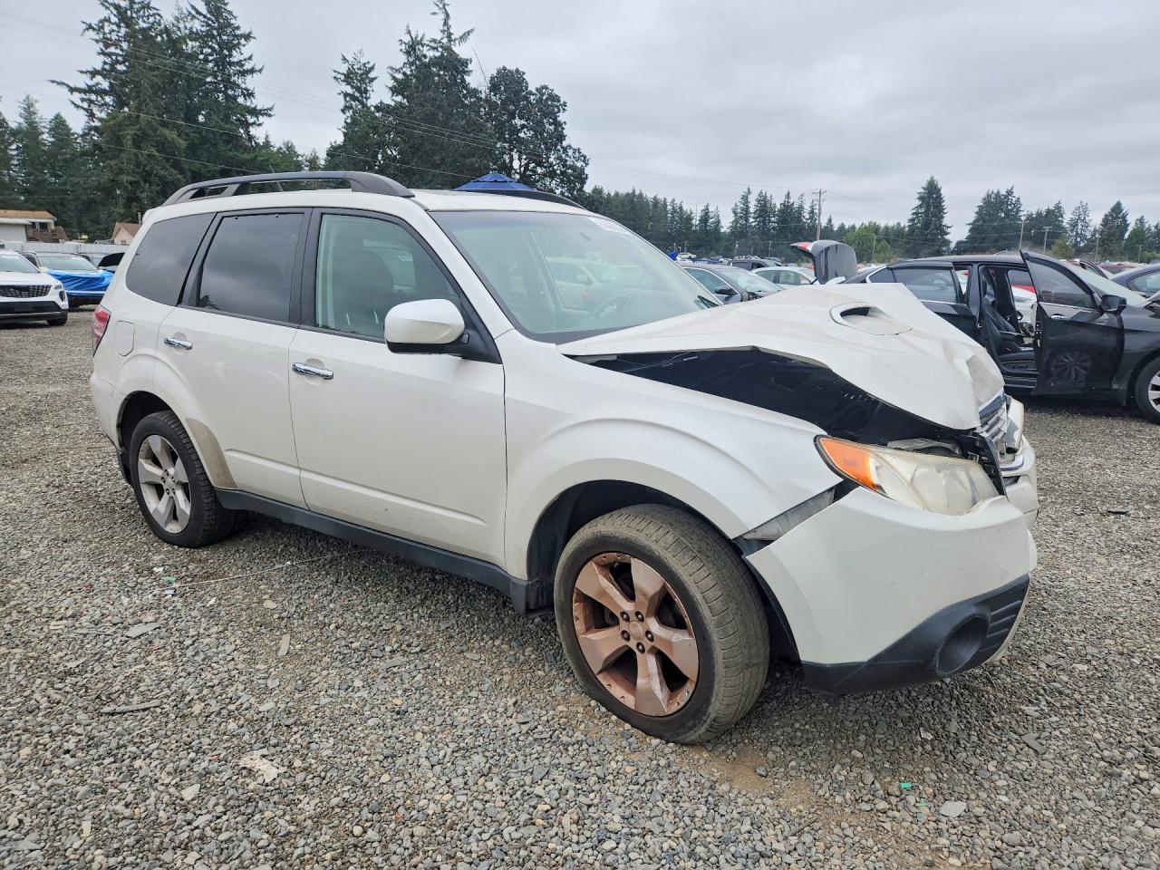 JF2SH6FC9AH766402 · 2010 SUBARU FORESTER · 4/13