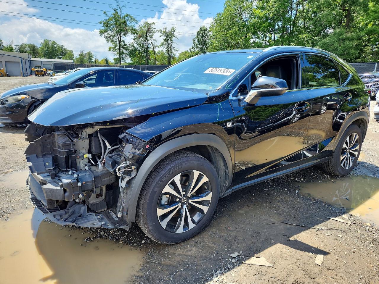 JTJSARDZ9L5009030 · 2020 LEXUS NX