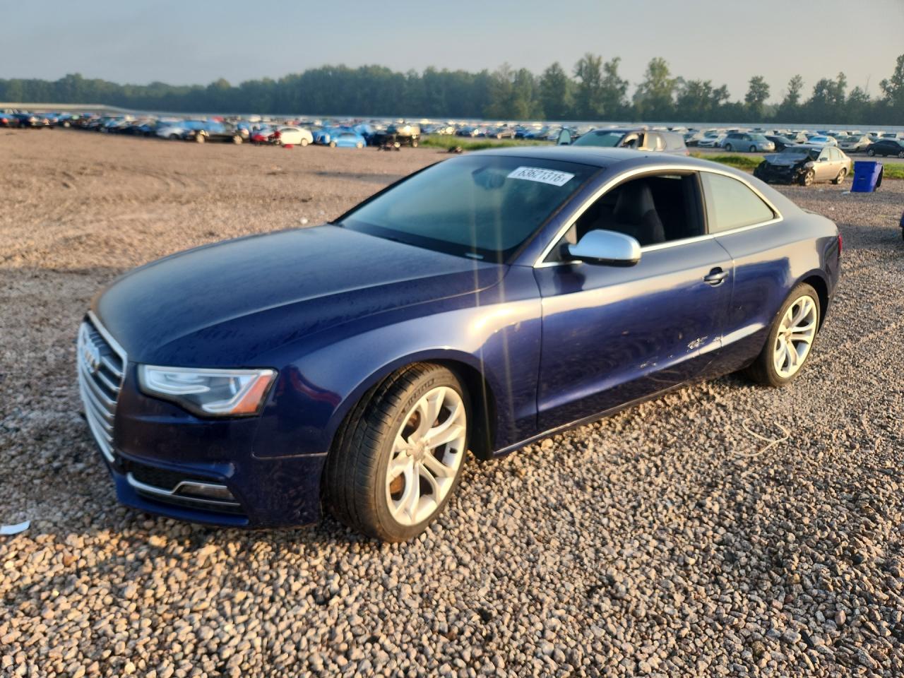 2013 AUDI S5