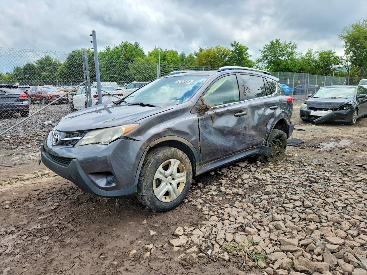 JTMZFREV2EJ001019 · 2014 TOYOTA RAV4