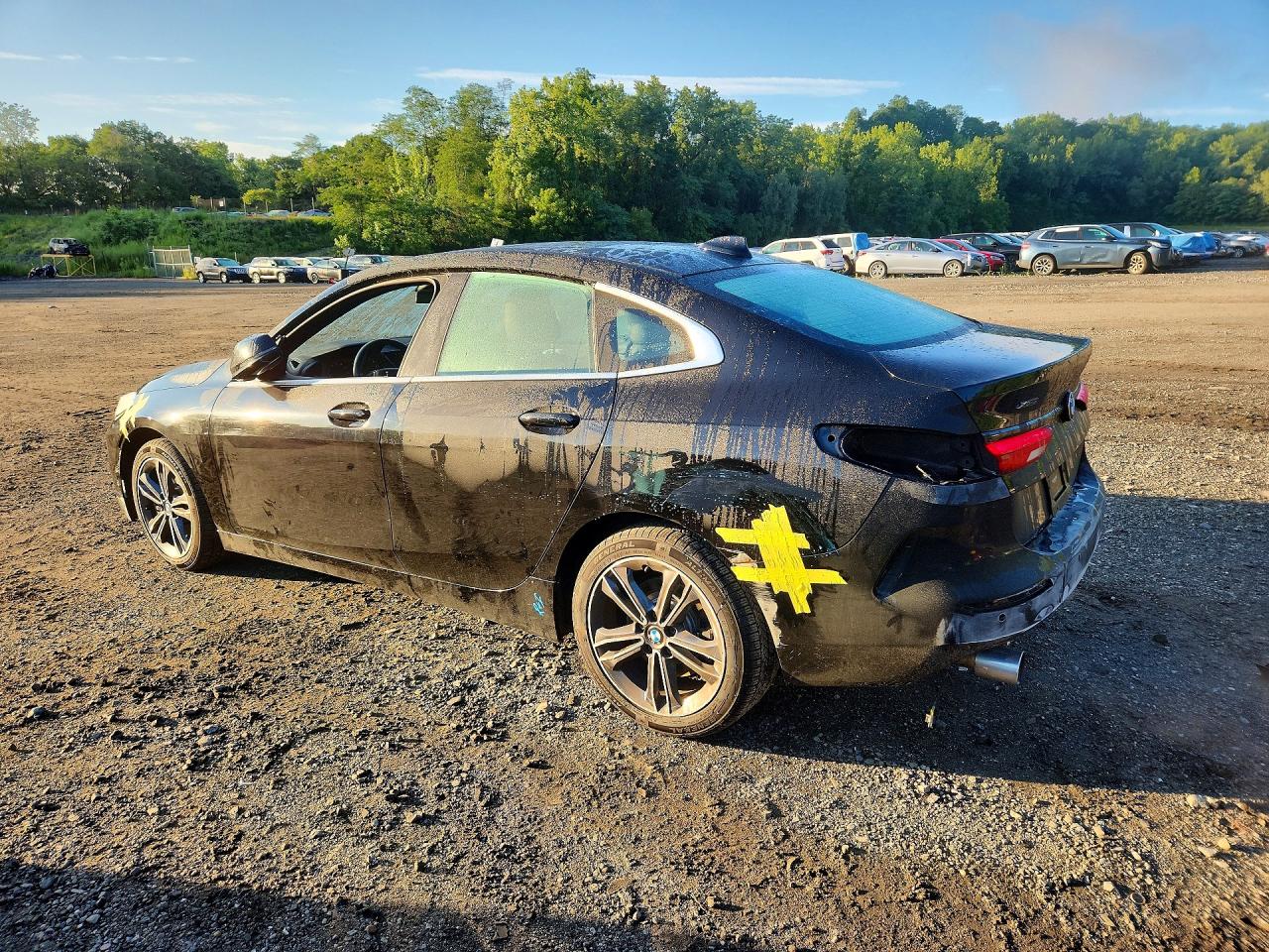 WBA73AK09L7F88081 · 2020 BMW 228XI · 2/13