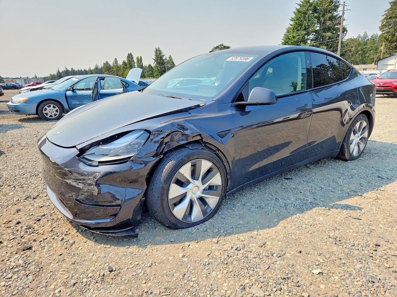 7SAYGDEE1RF992791 · 2024 TESLA MODEL Y