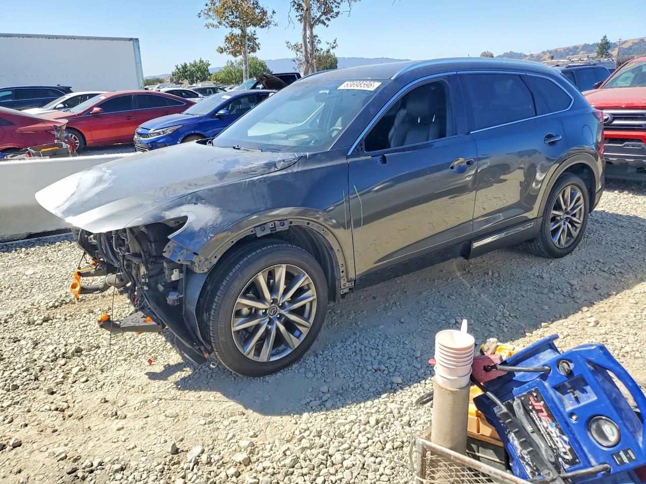 JM3TCBDY8K0322573 · 2019 MAZDA CX-9