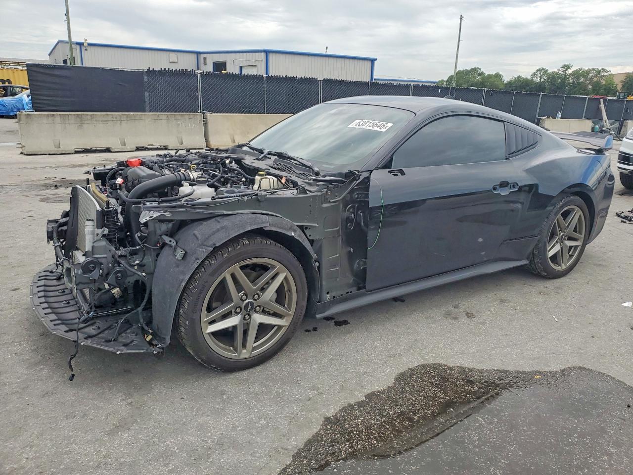 1FA6P8TH5S5110110 · 2025 FORD MUSTANG