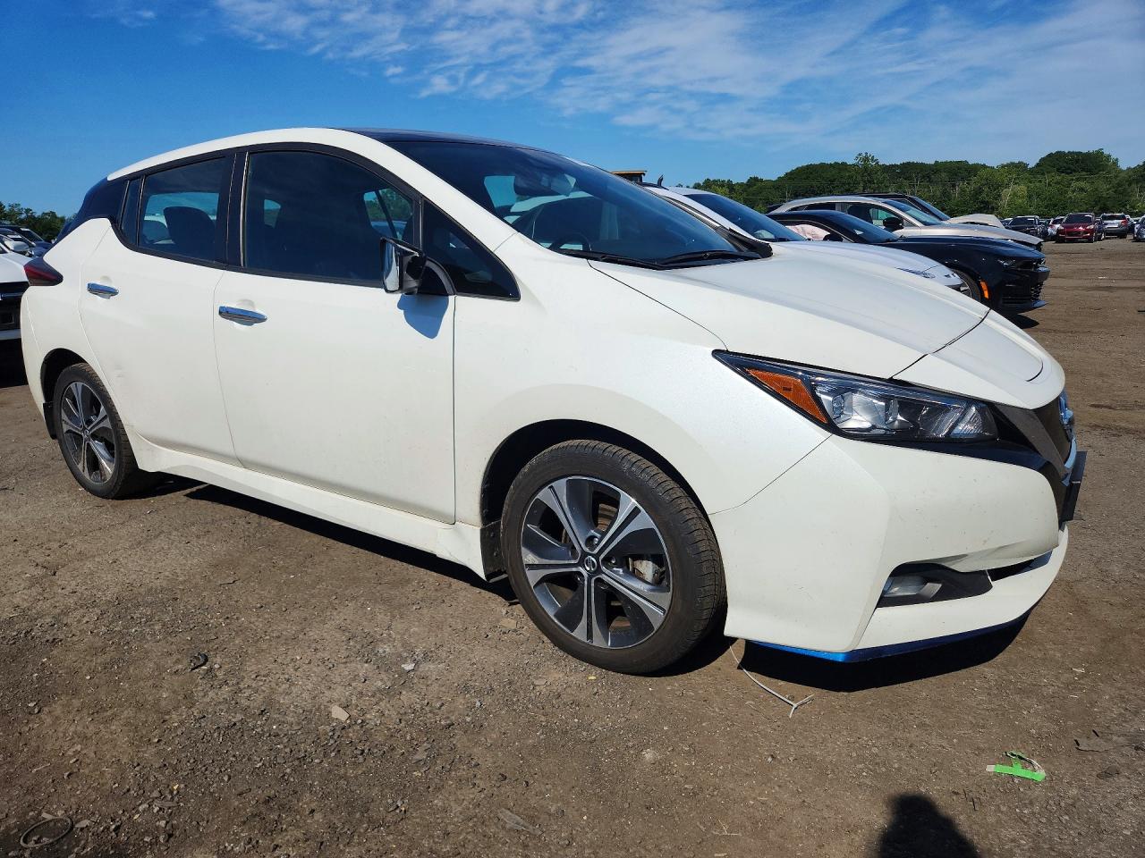 1N4BZ1CP8LC309219 · 2020 NISSAN LEAF · 4/13