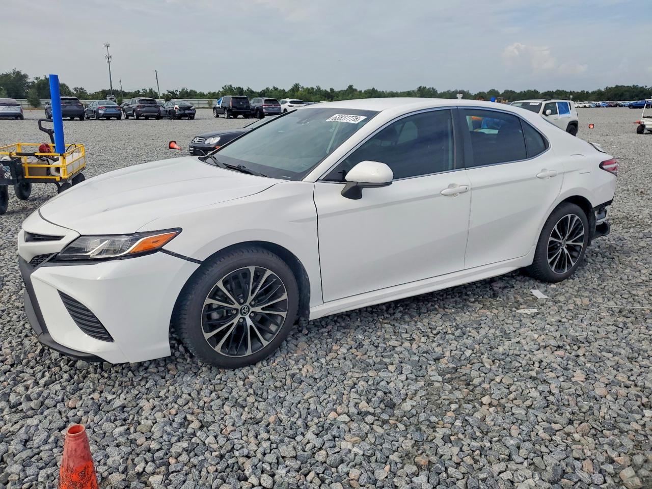 4T1G11AK4LU875396 · 2020 TOYOTA CAMRY
