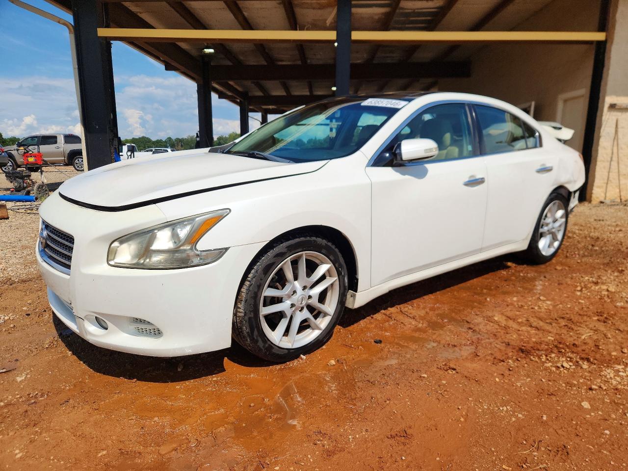 1N4AA5AP7BC854663 · 2011 NISSAN MAXIMA