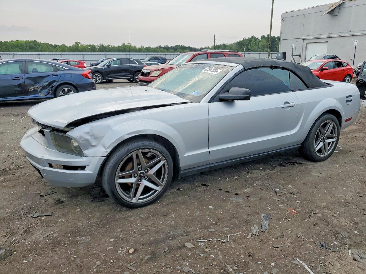 1ZVFT84NX65201371 · 2006 FORD MUSTANG