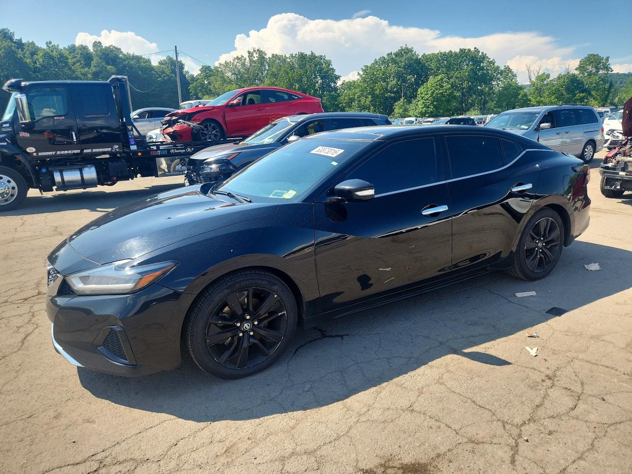 1N4AA6AV3KC370249 · 2019 NISSAN MAXIMA