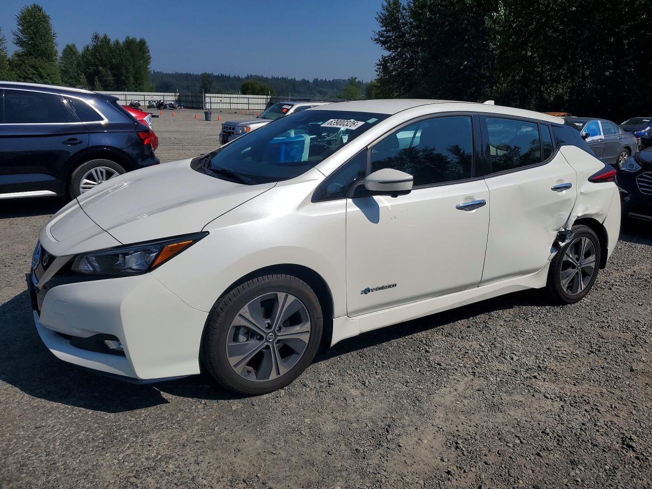 1N4BZ1CP9KC310815 · 2019 NISSAN LEAF