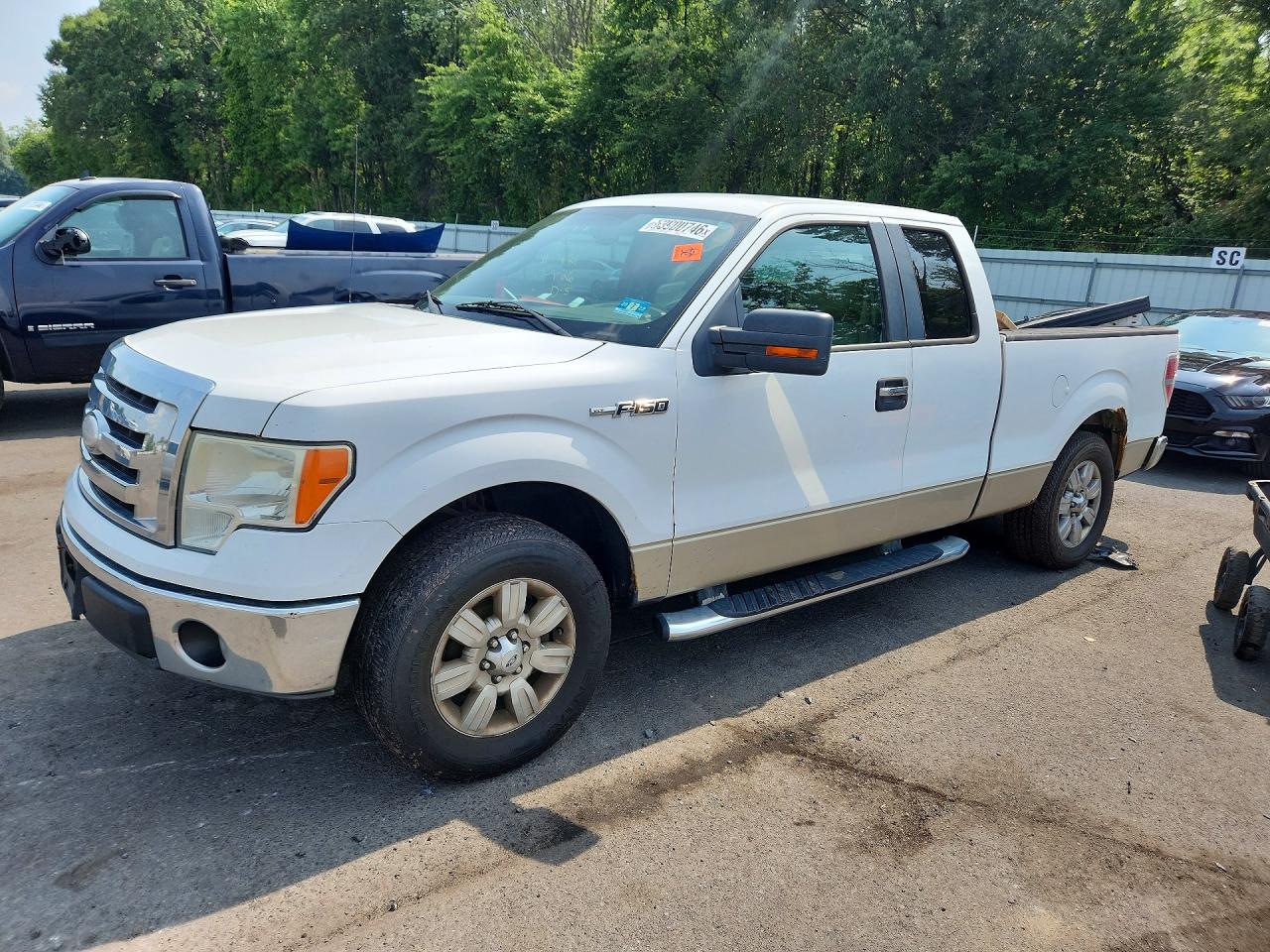 1FTRX12889KC53743 · 2009 FORD F150