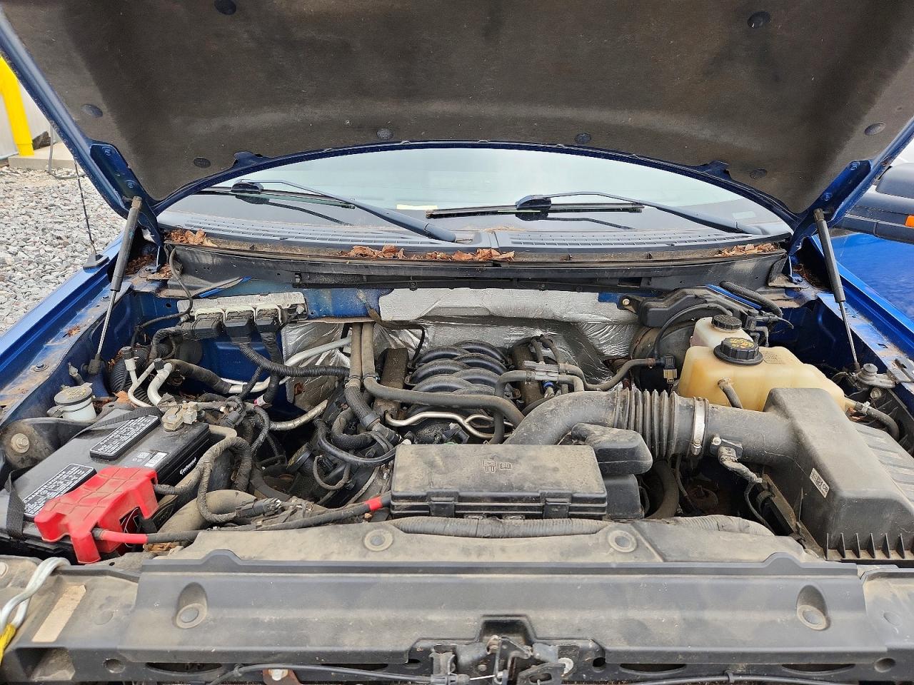 1FTFW1EF9DKD81983 · 2013 FORD F150 · 11/12