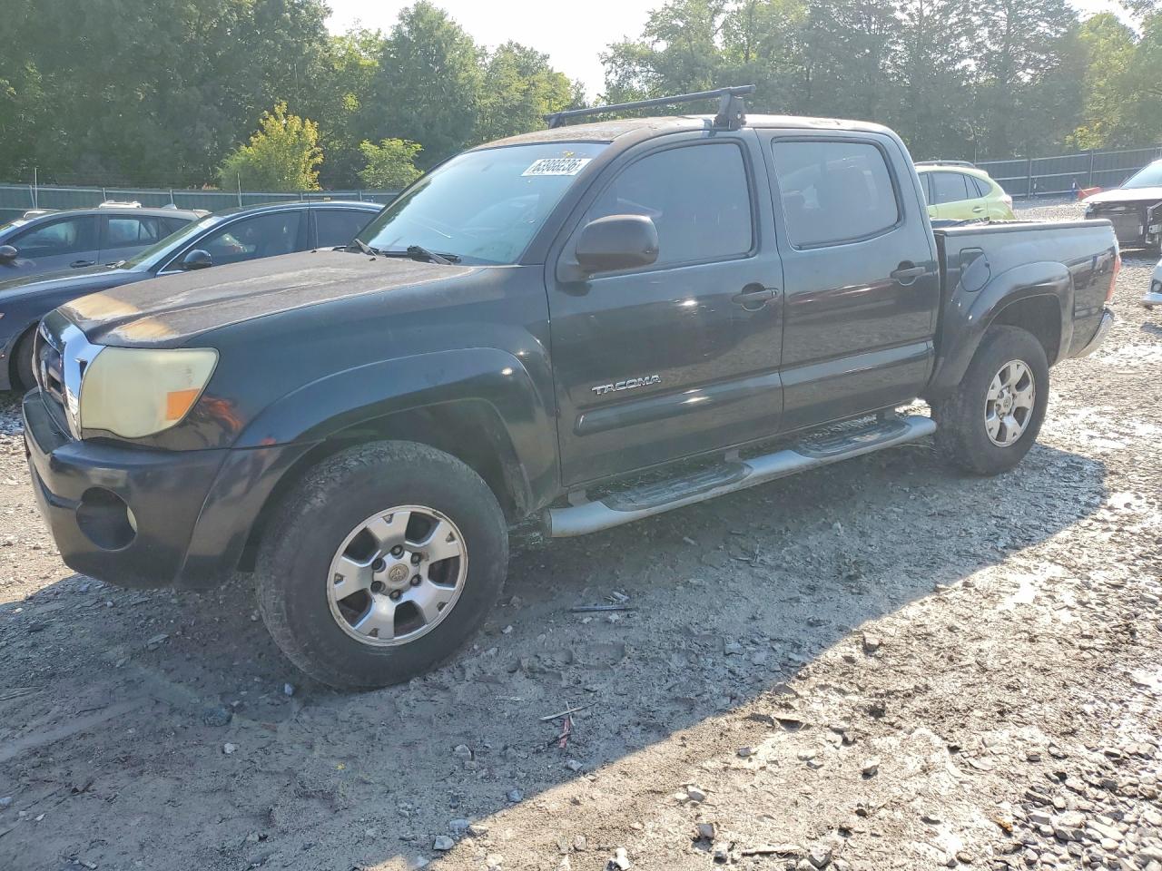 5TELU42N36Z300206 · 2006 TOYOTA TACOMA