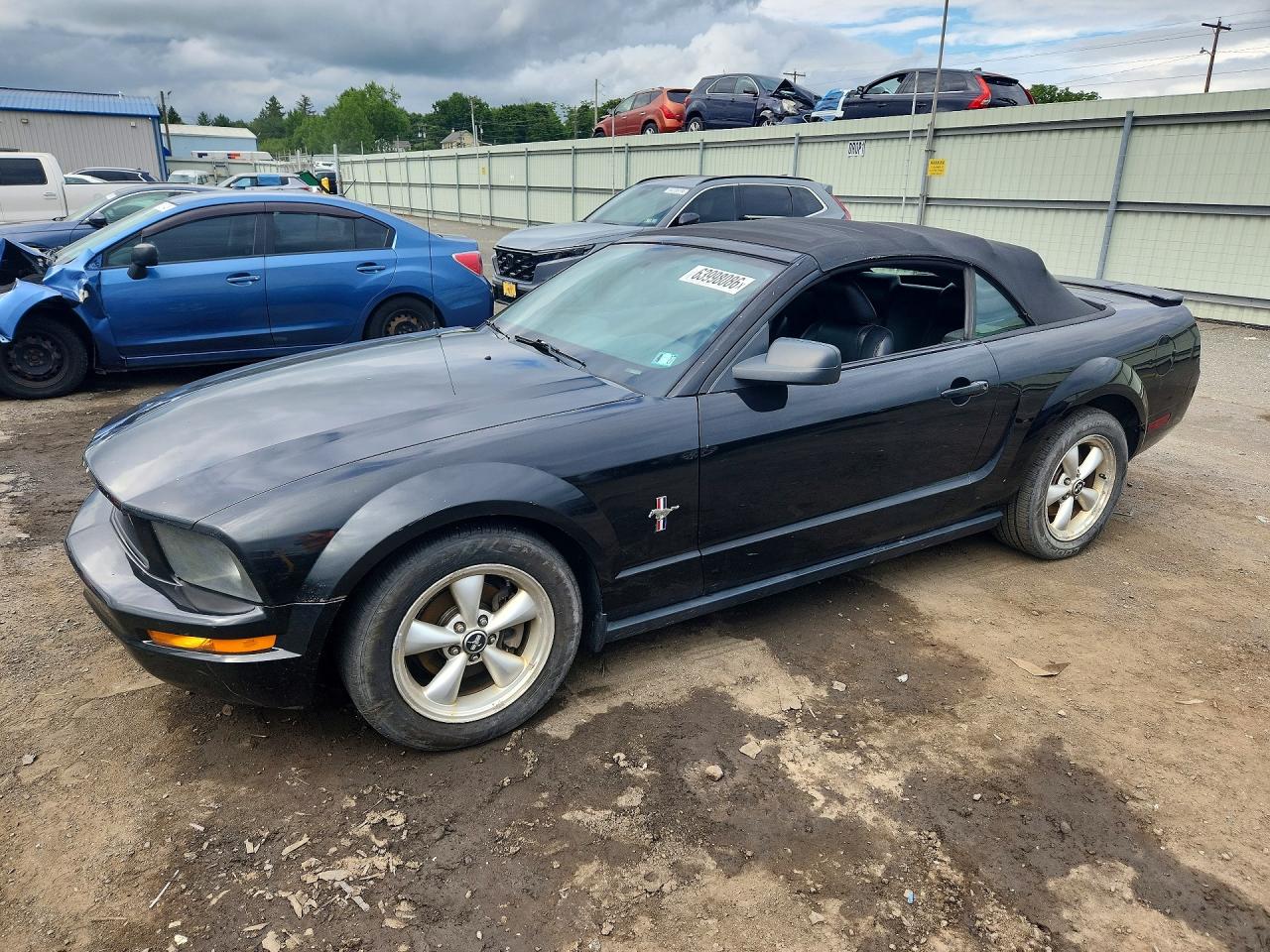 1ZVFT84N775242929 · 2007 FORD MUSTANG
