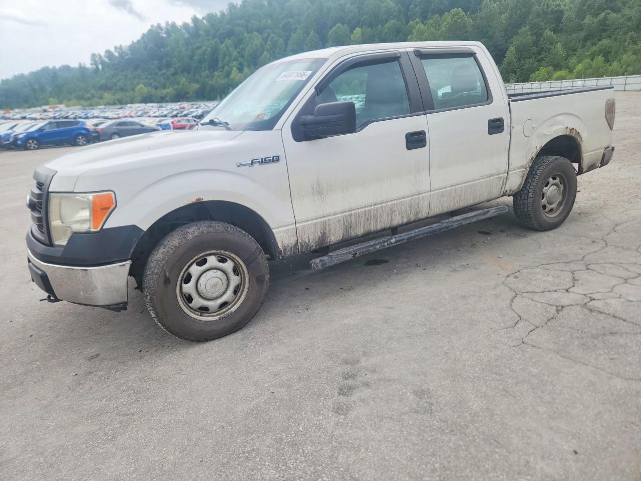 1FTFW1EF3DFC86599 · 2013 FORD F150
