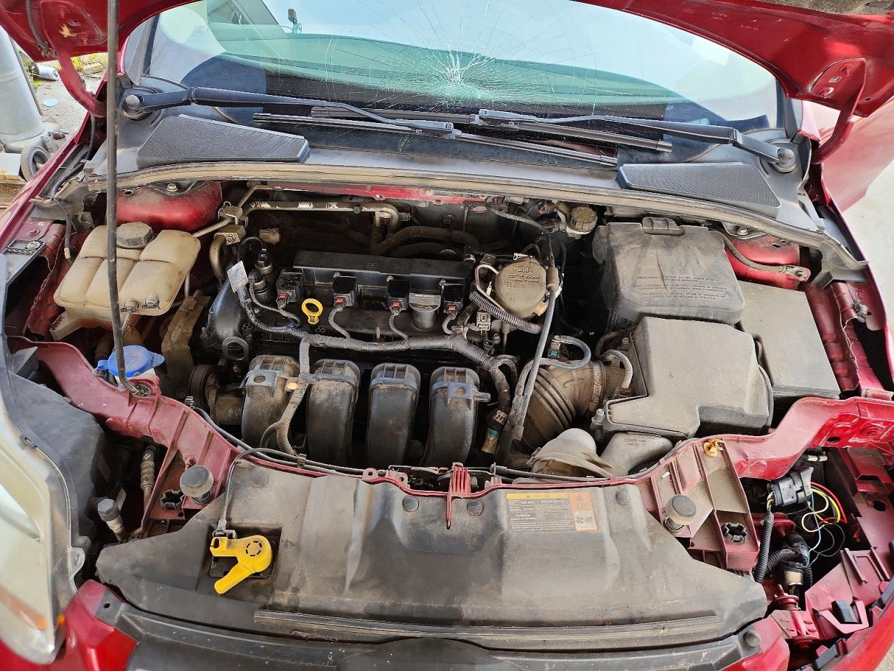 1FADP3F26EL128469 · 2014 FORD FOCUS · 11/12