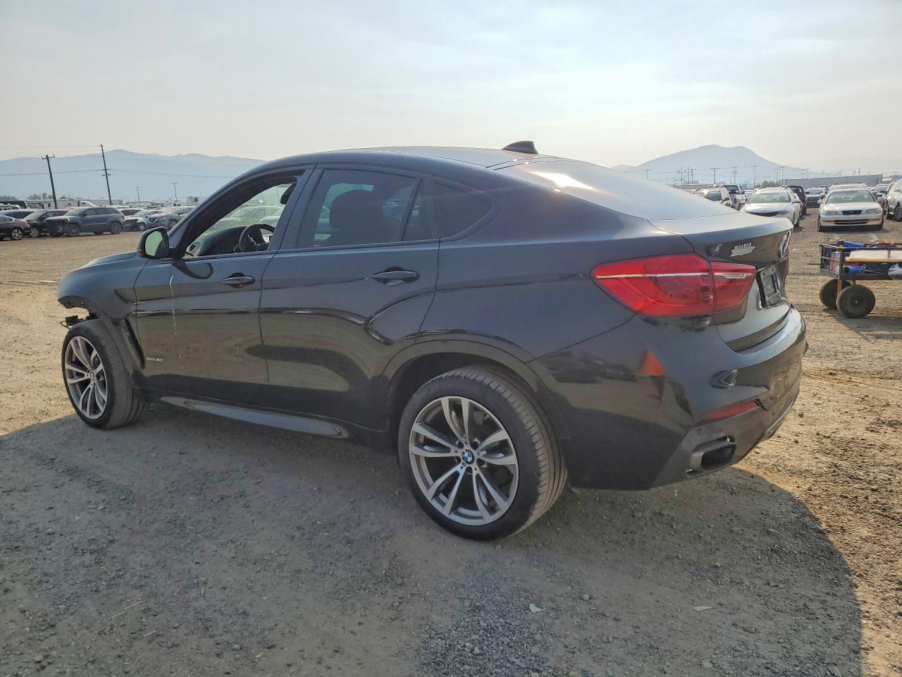 5UXKU6C3XH0W38773 · 2017 BMW X6 · 2/13
