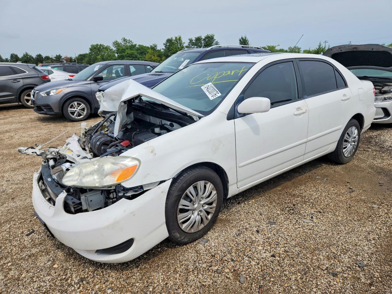1NXBR30E75Z398704 · 2005 TOYOTA COROLLA