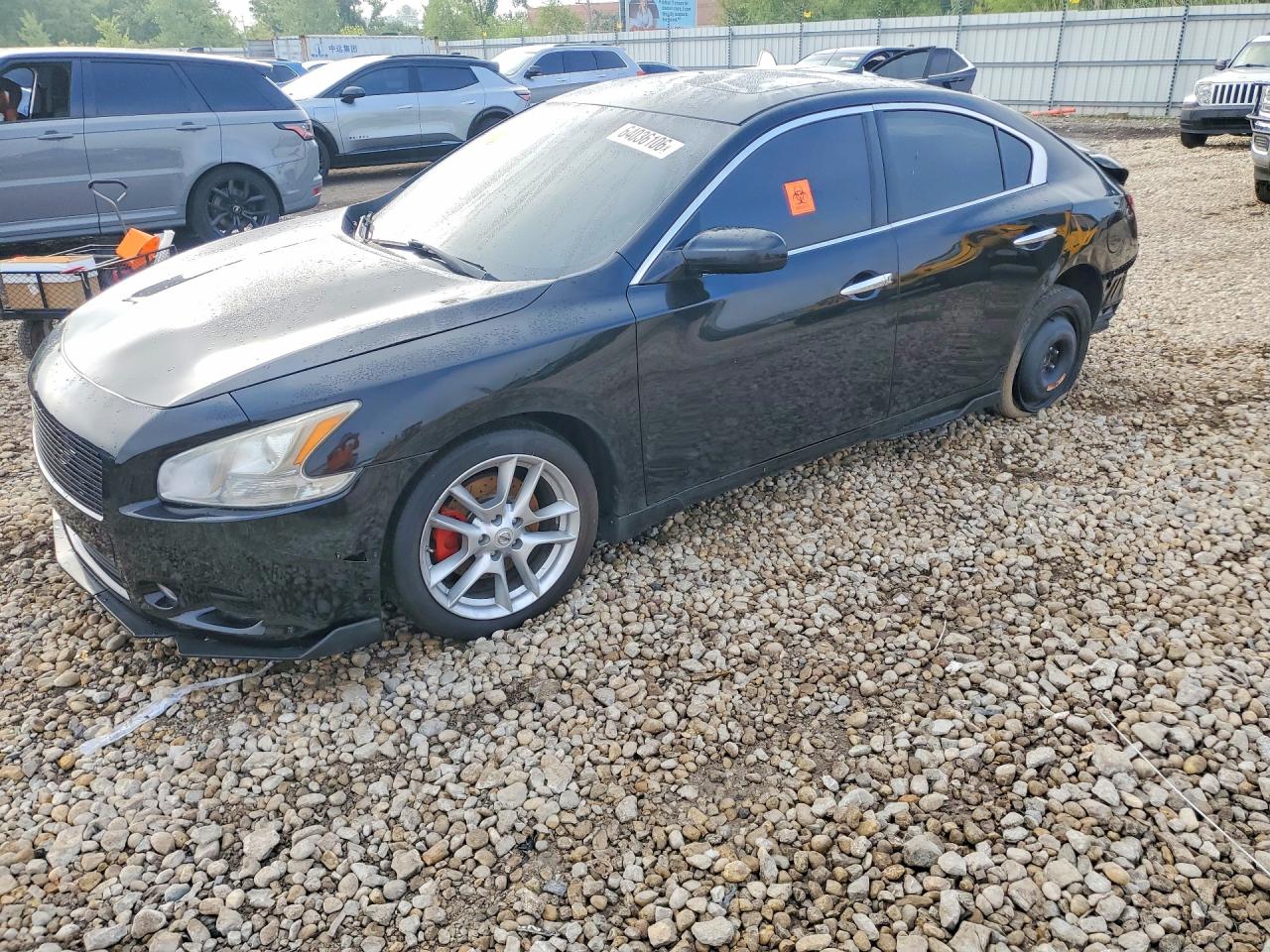 1N4AA5AP7AC823749 · 2010 NISSAN MAXIMA