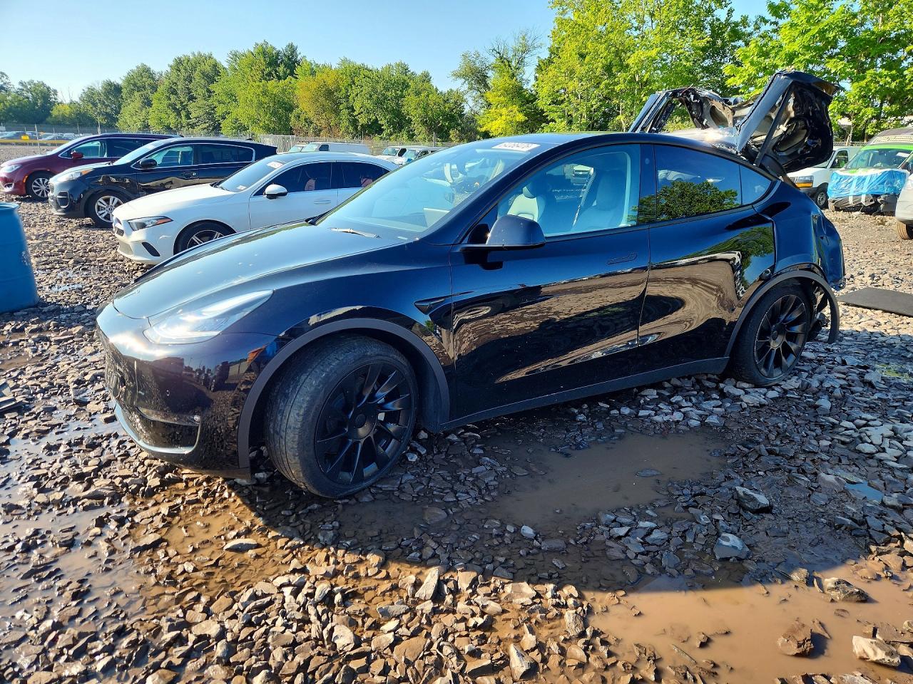 7SAYGDEE6NF444733 · 2022 TESLA MODEL Y