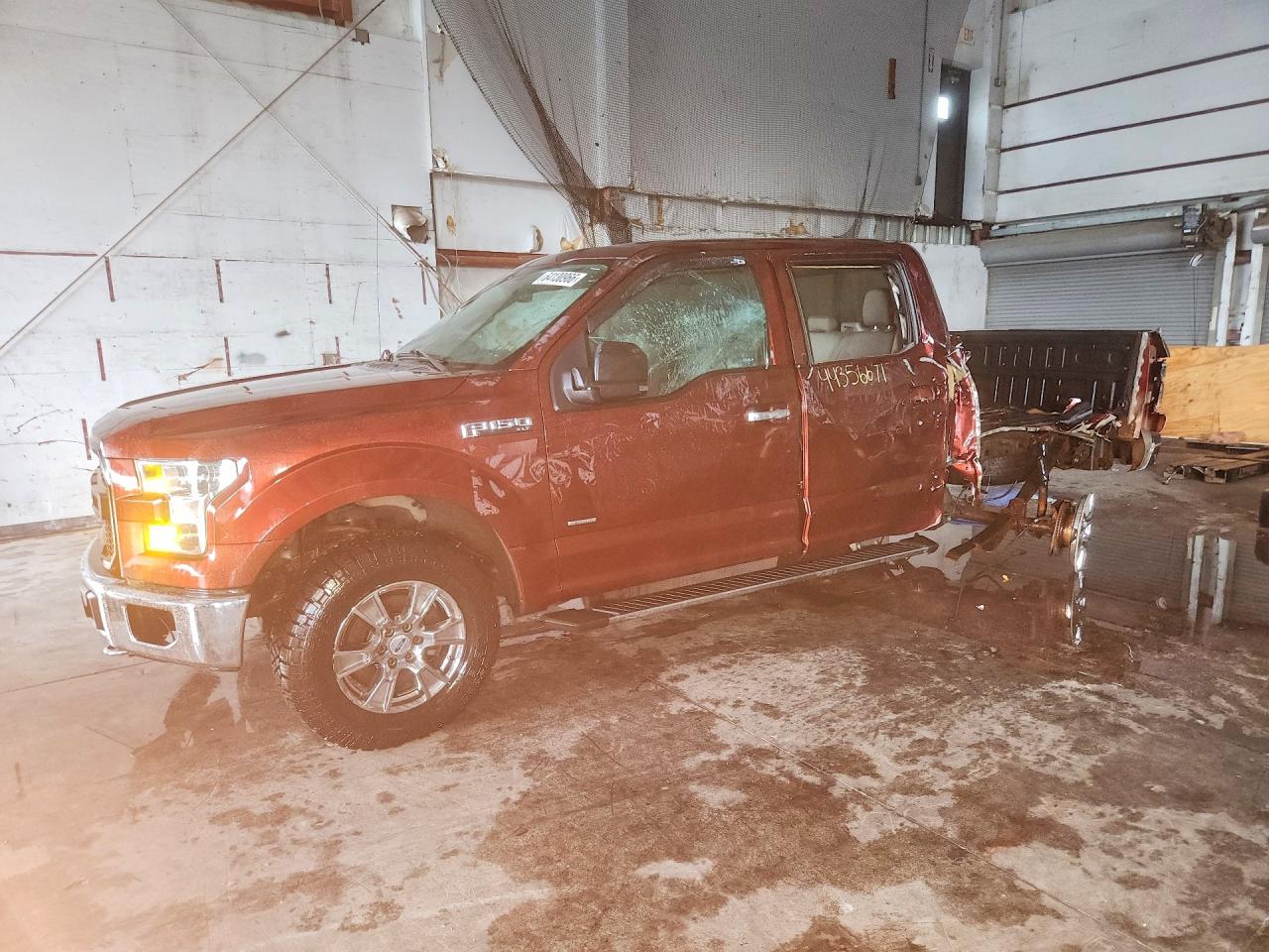 1FTEW1EG2FFB75646 · 2015 FORD F150