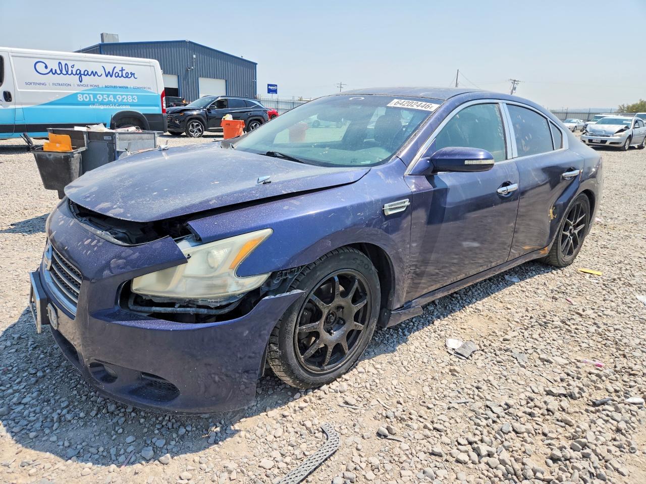 1N4AA5AP7AC823542 · 2010 NISSAN MAXIMA