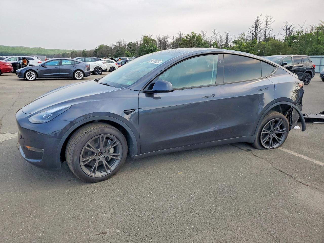 2024 TESLA MODEL Y
