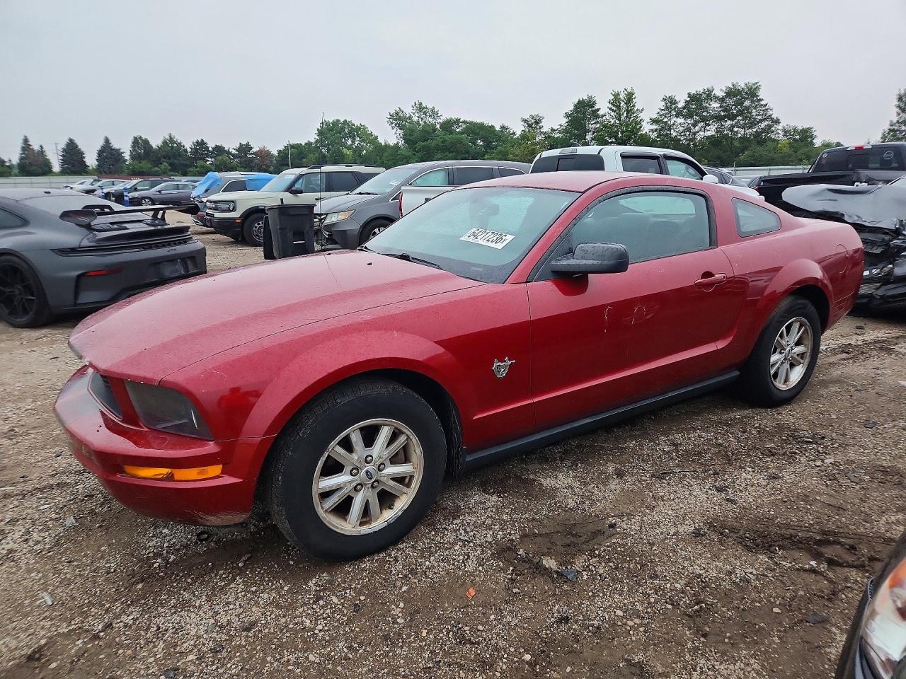 1ZVHT80N095119796 · 2009 FORD MUSTANG