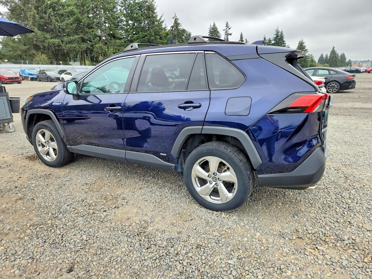 2T3B6RFV3MW008562 · 2021 TOYOTA RAV4 HYBRID · 2/13