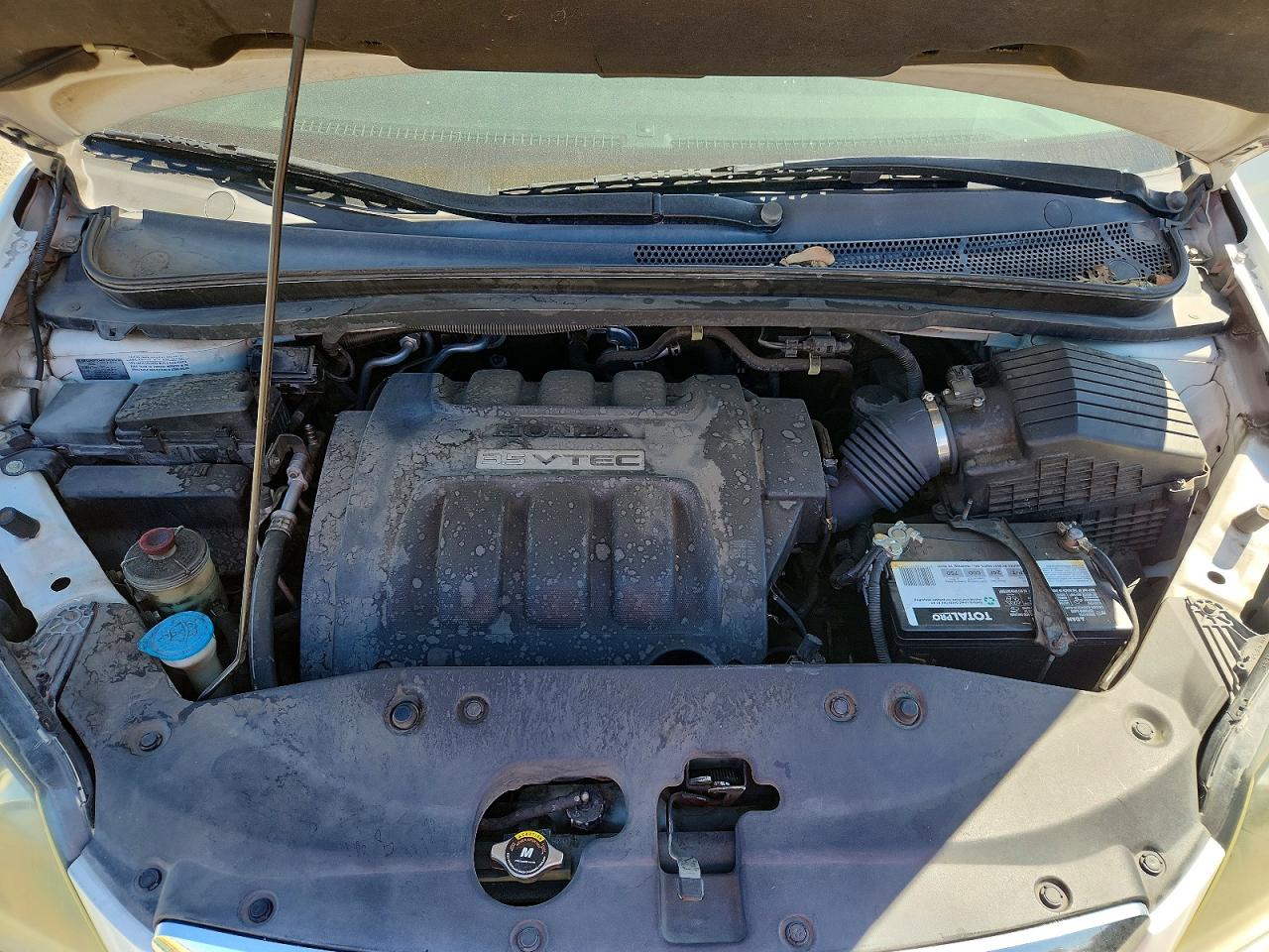 5FNRL38477B139299 · 2007 HONDA ODYSSEY · 12/13