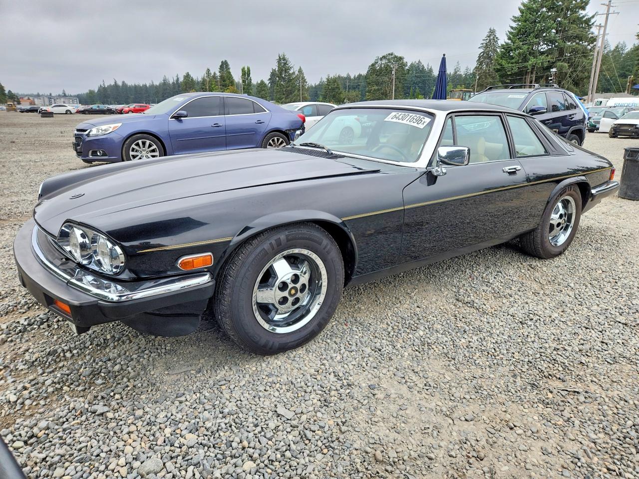 SAJNV584XDC110152 · 1983 JAGUAR XJS