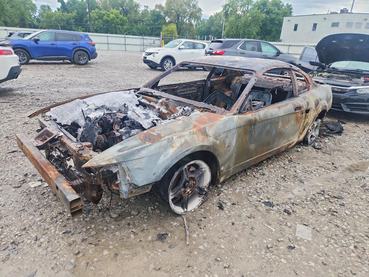 2000 FORD MUSTANG