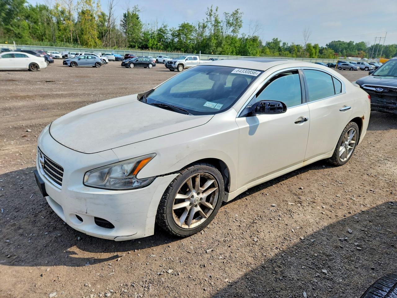 1N4AA51E29C829954 · 2009 NISSAN MAXIMA