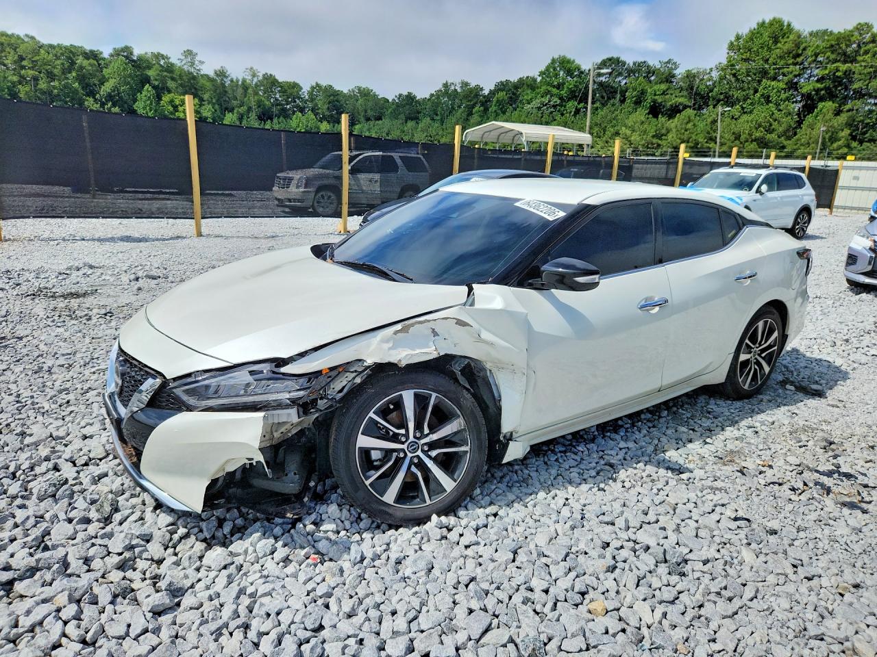1N4AA6CV1PC504633 · 2023 NISSAN MAXIMA