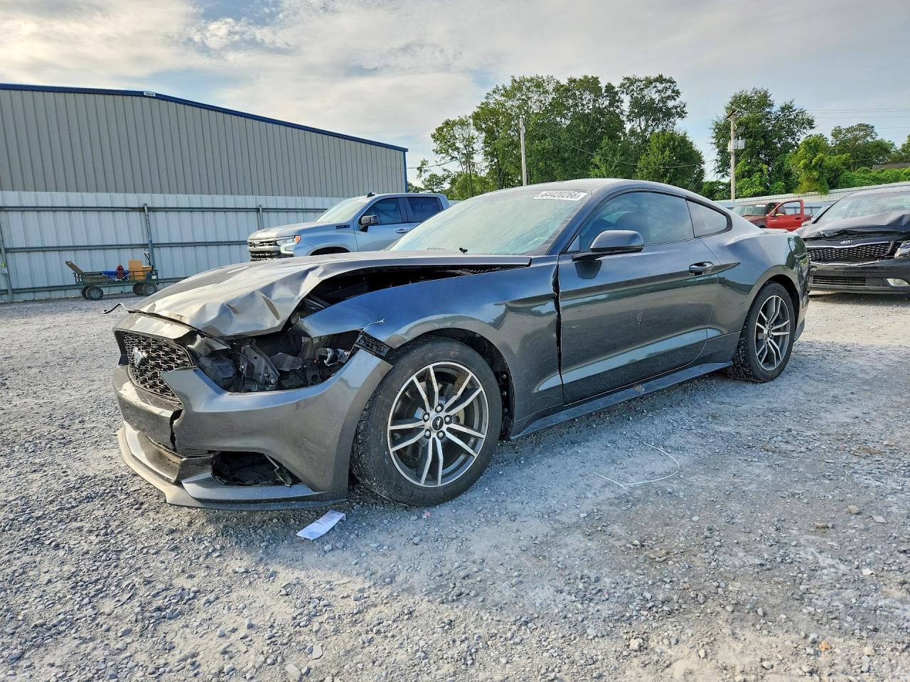 1FA6P8TH3F5406569 · 2015 FORD MUSTANG