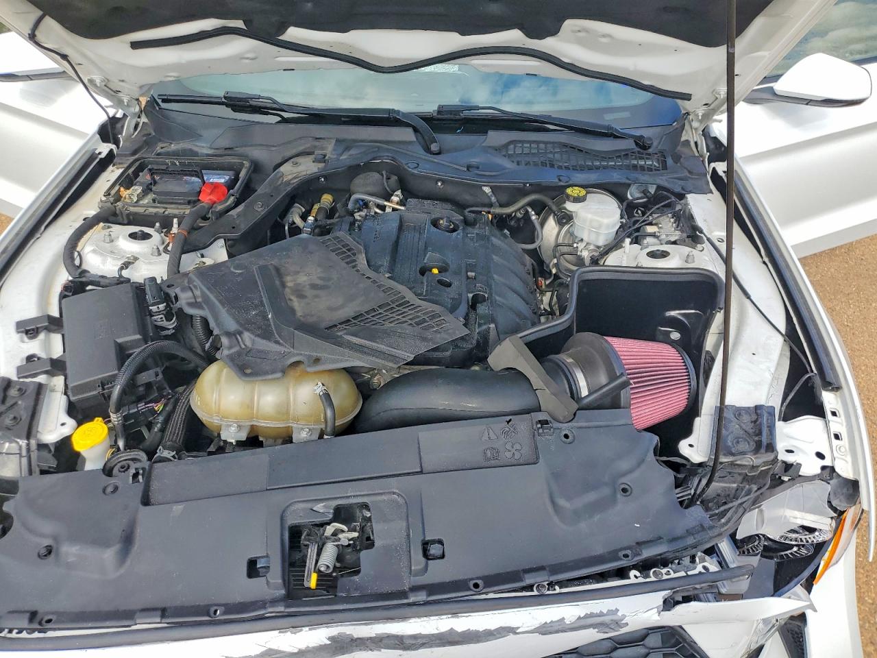 1FA6P8TH9K5133891 · 2019 FORD MUSTANG · 11/12