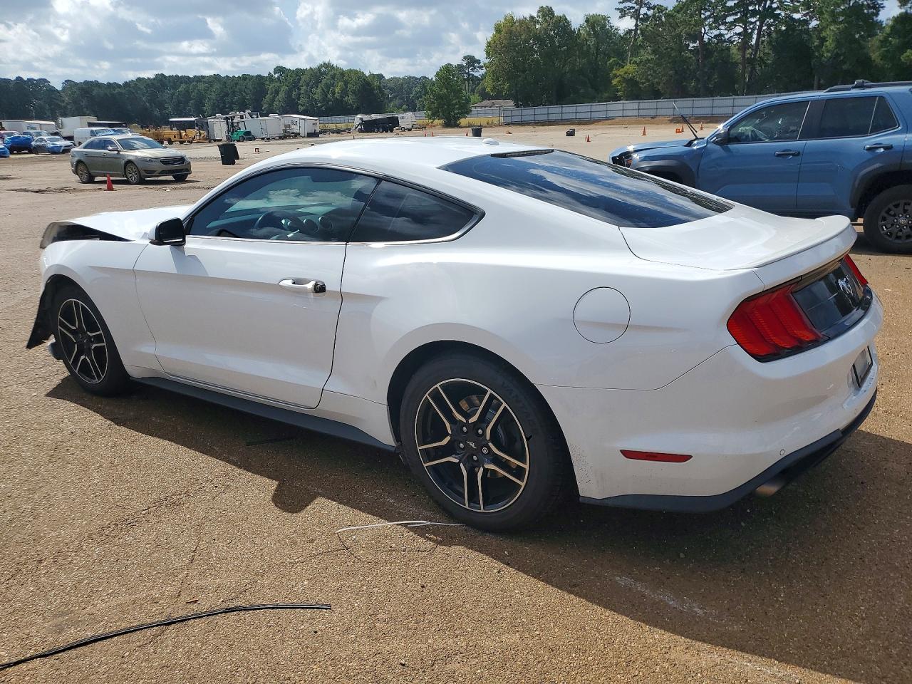 1FA6P8TH9K5133891 · 2019 FORD MUSTANG · 2/12