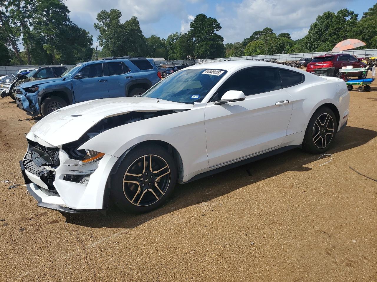 1FA6P8TH9K5133891 · 2019 FORD MUSTANG