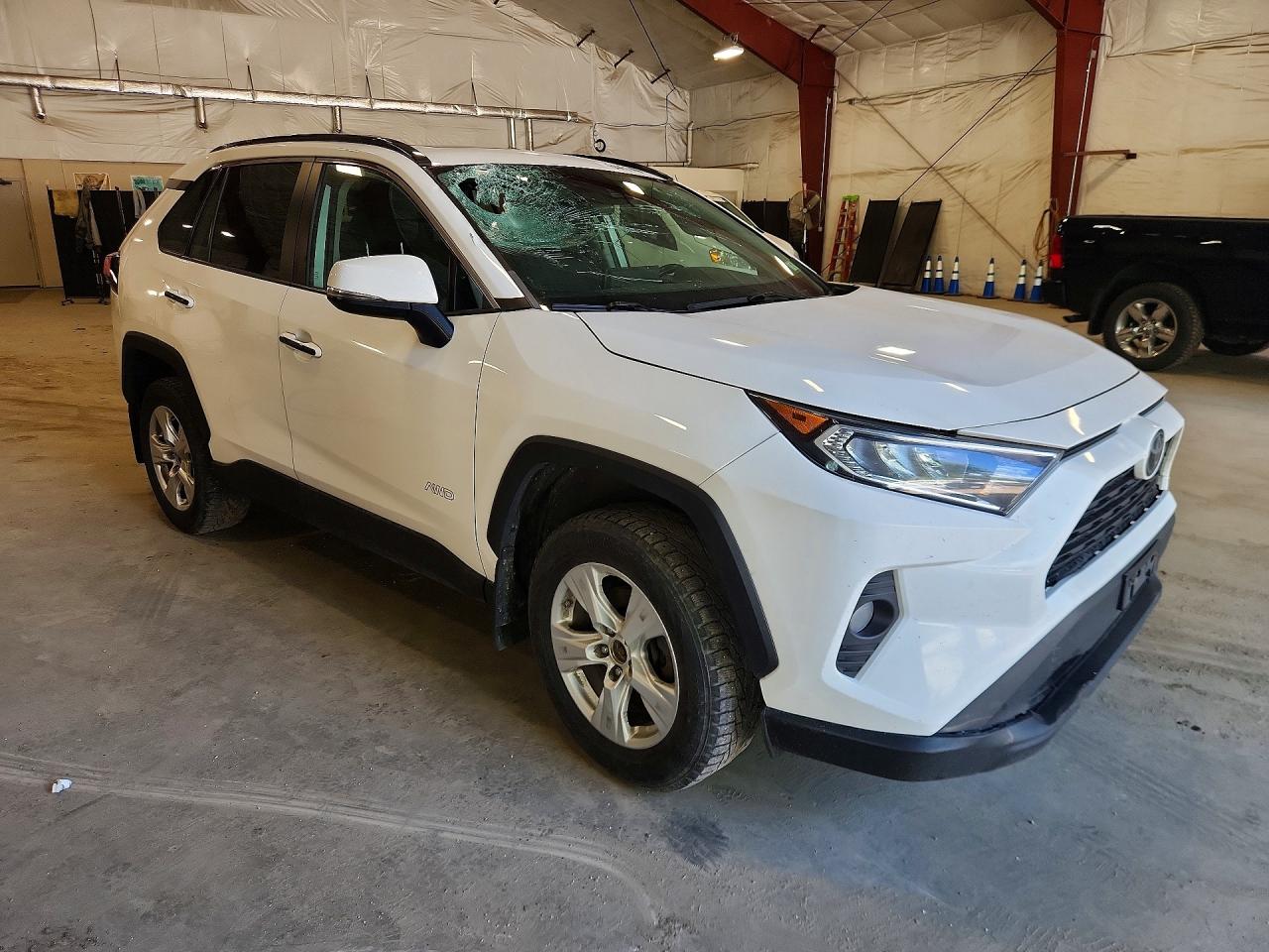2T3P1RFVXKW034691 · 2019 TOYOTA RAV4 · 4/13